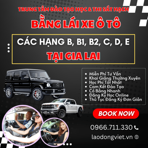 Đăng Ký Học & Thi Bằng Lái Xe Ô Tô Hạng B1-B2-C-D ở Gia Lai
