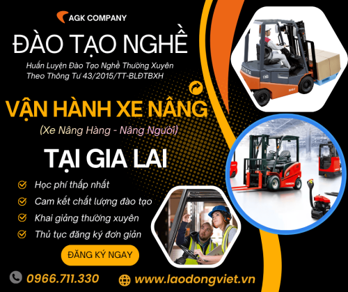 Học Lái Xe Nâng Tại Gia Lai - Đào Tạo & Cấp Chứng Chỉ Nghề Vận Hành Xe Nâng