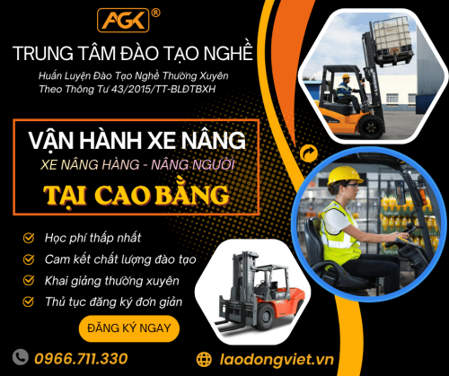 Học Lái Xe Nâng Tại Cao Bằng – Đào Tạo Cấp Chứng Chỉ Nghề Vận Hành Xe Nâng