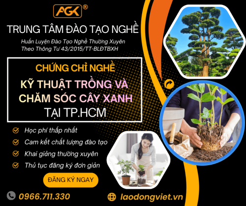 Học Kỹ Thuật Trồng Và Chăm Sóc Cây Xanh tại TpHCM - Đào Tạo & Cấp Chứng Chỉ Nghề