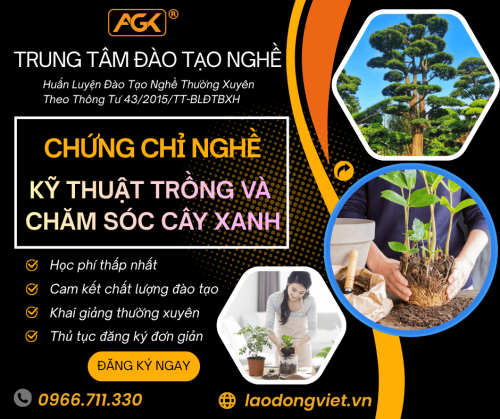Học Kỹ Thuật Trồng Và Chăm Sóc Cây Xanh - Đào Tạo & Cấp Chứng Chỉ Nghề