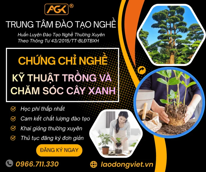 Học Kỹ Thuật Trồng Và Chăm Sóc Cây Xanh - Đào Tạo & Cấp Chứng Chỉ Nghề