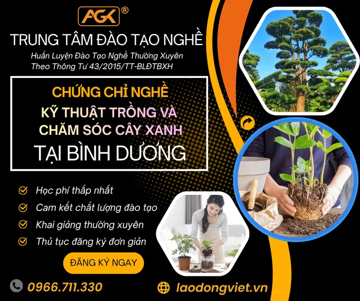Học Kỹ Thuật Trồng Và Chăm Sóc Cây Xanh tại Bình Dương - Đào Tạo & Cấp Chứng Chỉ Nghề